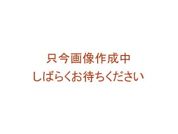 {g⋭w̔